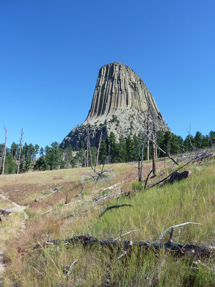 Devil tower (67).JPG